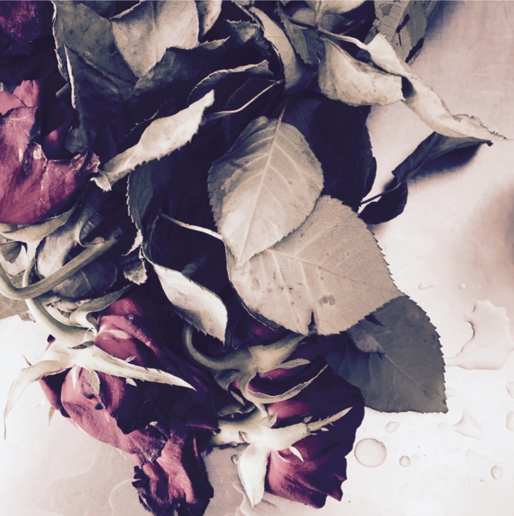 Everyday photos